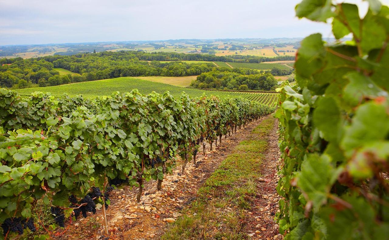Gîte, jacuzzi&vin au grenier de Madiran Buitenkant foto